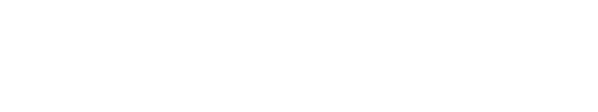 Ronin Logo
